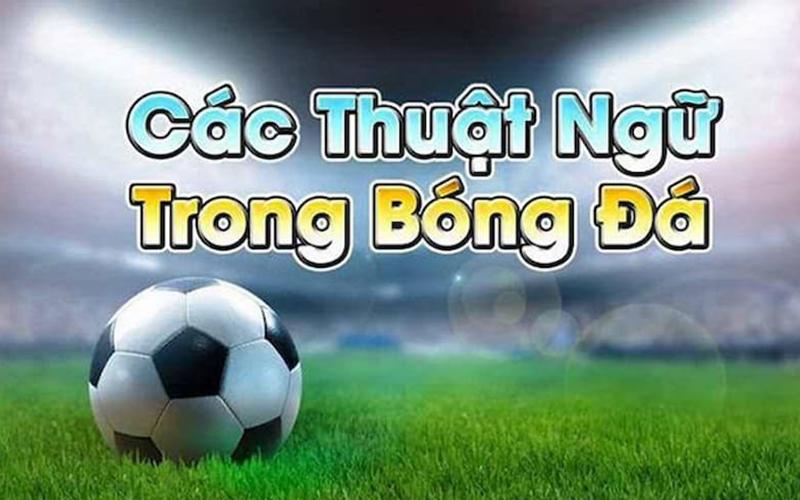Thuật ngữ bóng đá cần nắm khi tham gia cá cược online bóng đá