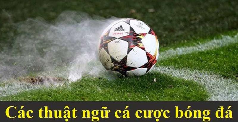 Một số thuật ngữ anh em nên nắm khi tham gia
